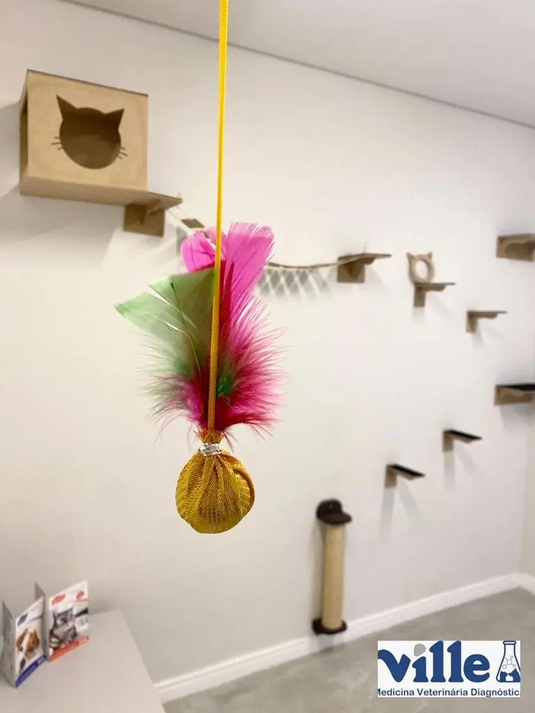 Ville Medicina Veterinária Diagnostica